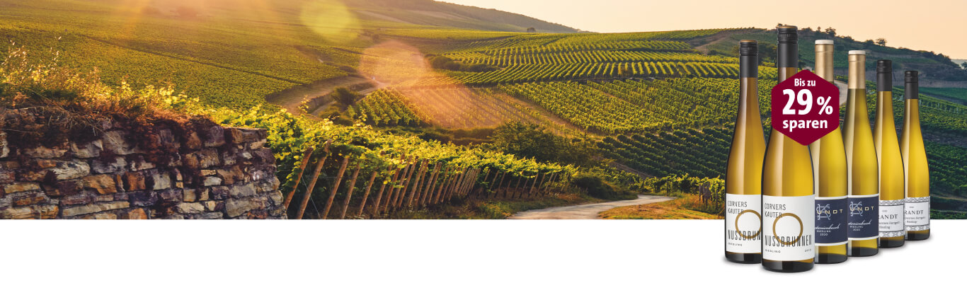 In der Lage Weine im Weinberg, bis zu 29% sparen