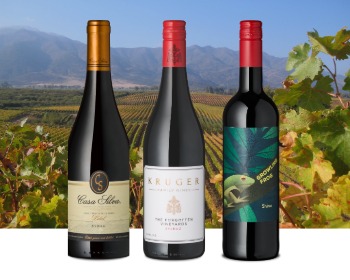 Wein trifft online ansehen | rindchen.de
