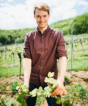 Weingut Bender