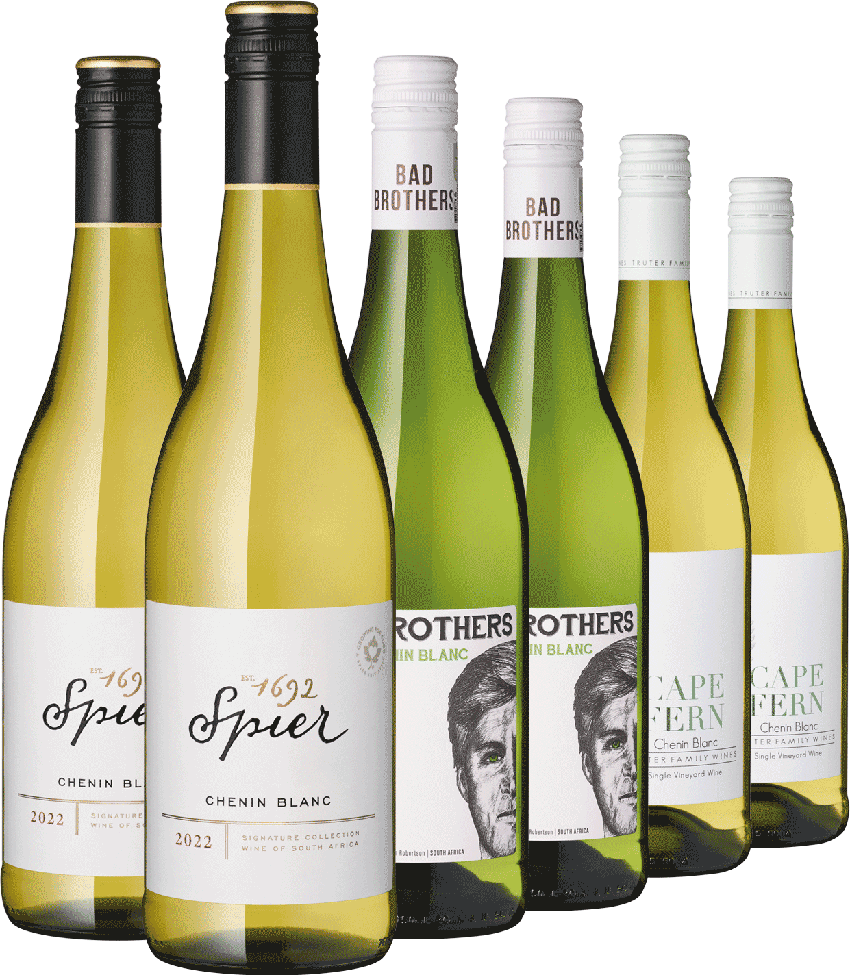 6er Paket Südafrikas Chenin Blanc
