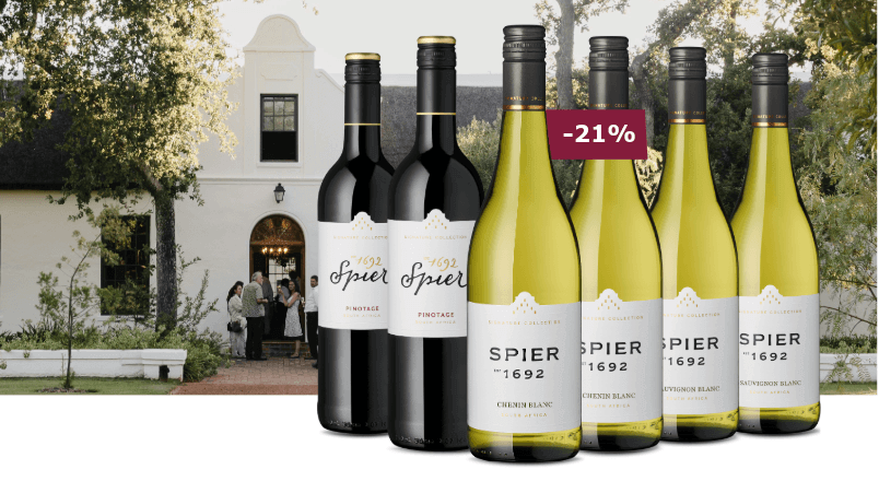 Teaser Spier Weinpakez miWeingutshaus im Hintergrund