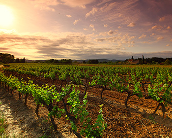 Kontor Nymphenburg: Überwältigendes aus Übersee Wein Seminar Australien