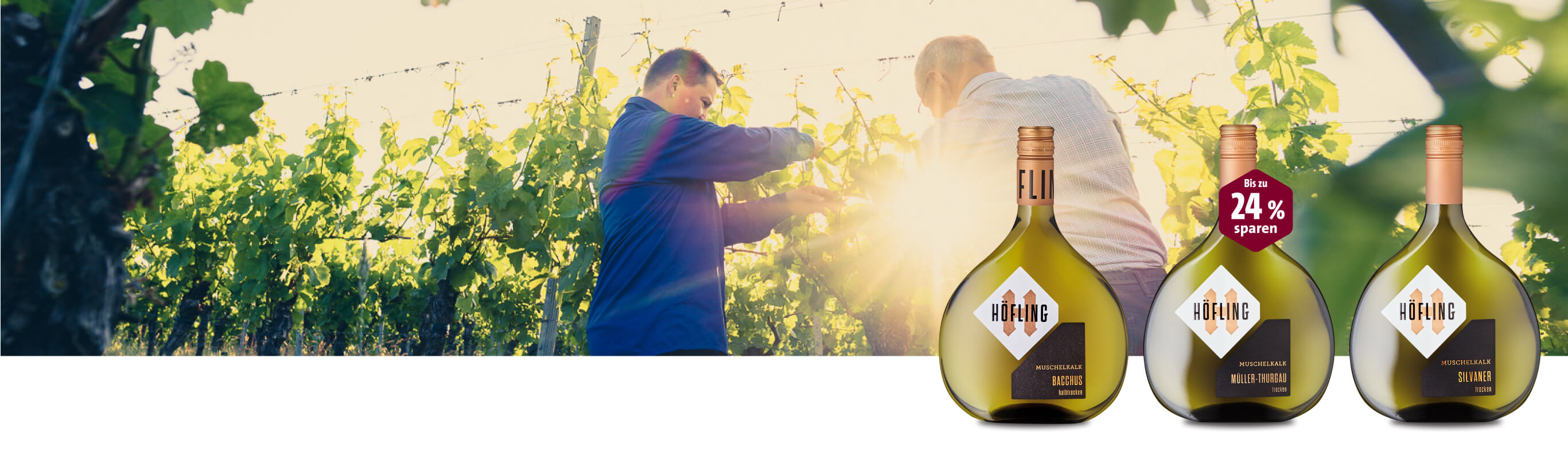 Der Muschelmagier Winzer im Weinberg, Weinangebot mit Rabatt-Aktion