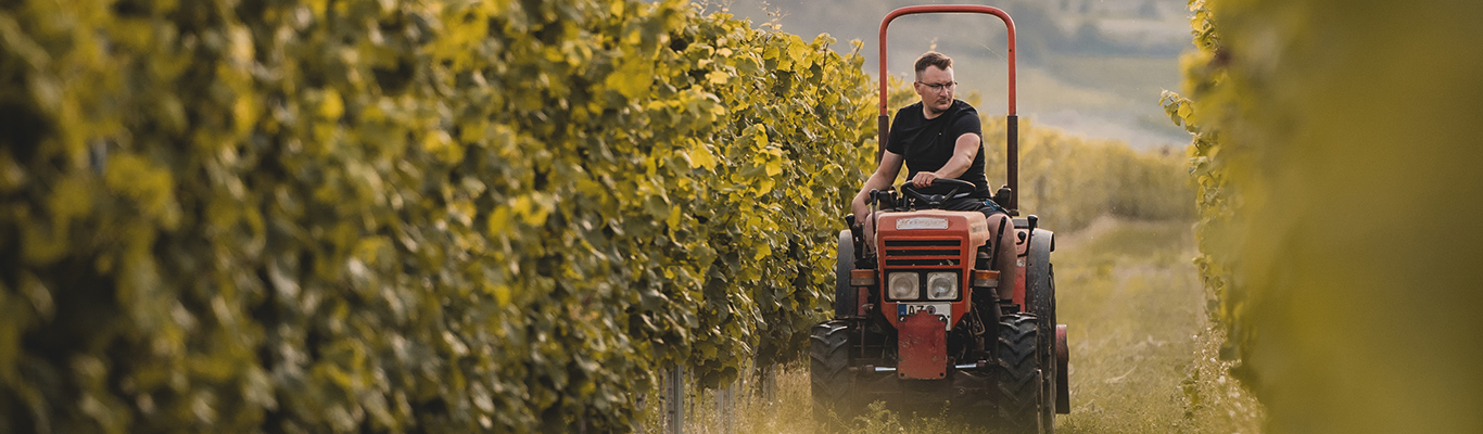 Weingut Brandt Weingut Brandt
