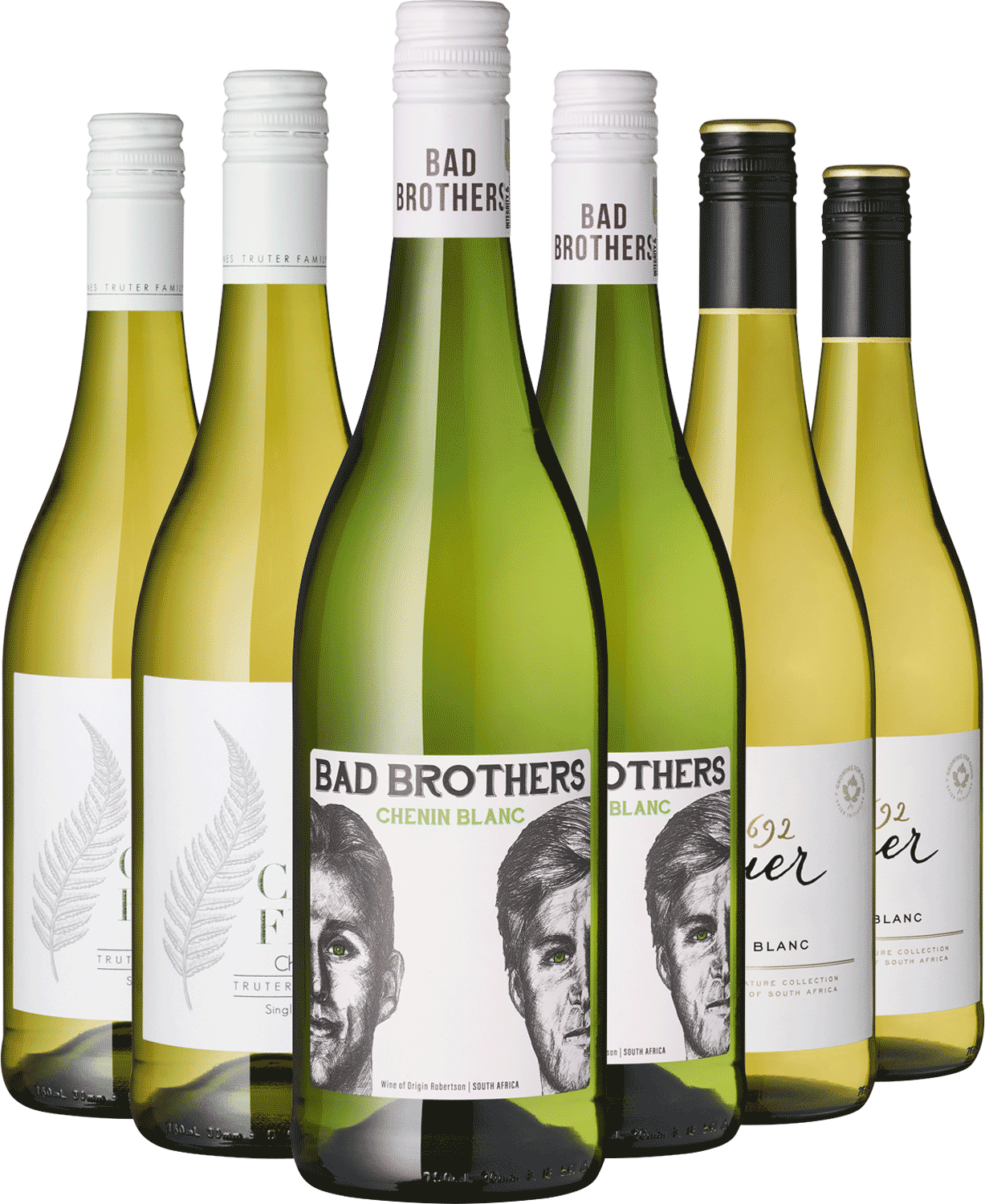 ARSM 6er Chenin Blanc Südafrika