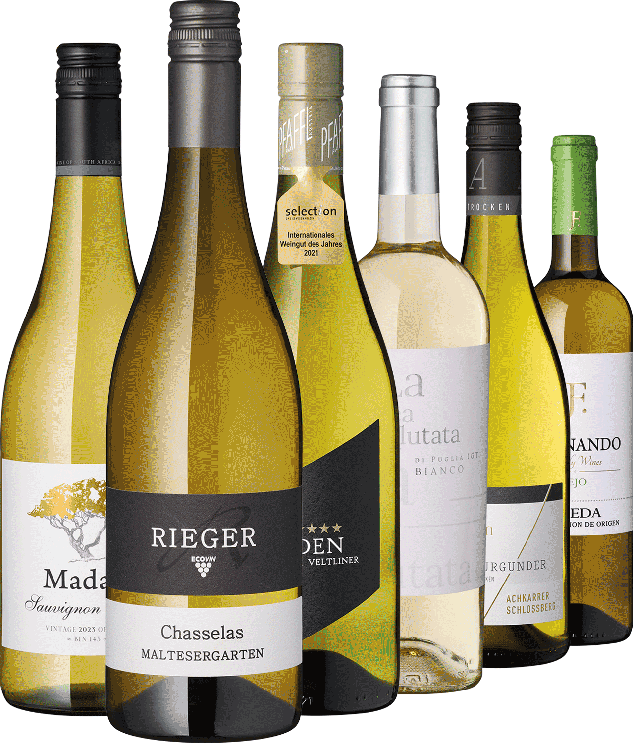 6er Weißwein Entdecker September 2023
