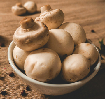 Kategorie Wein und Pilze Kategorie Wein und Pilze