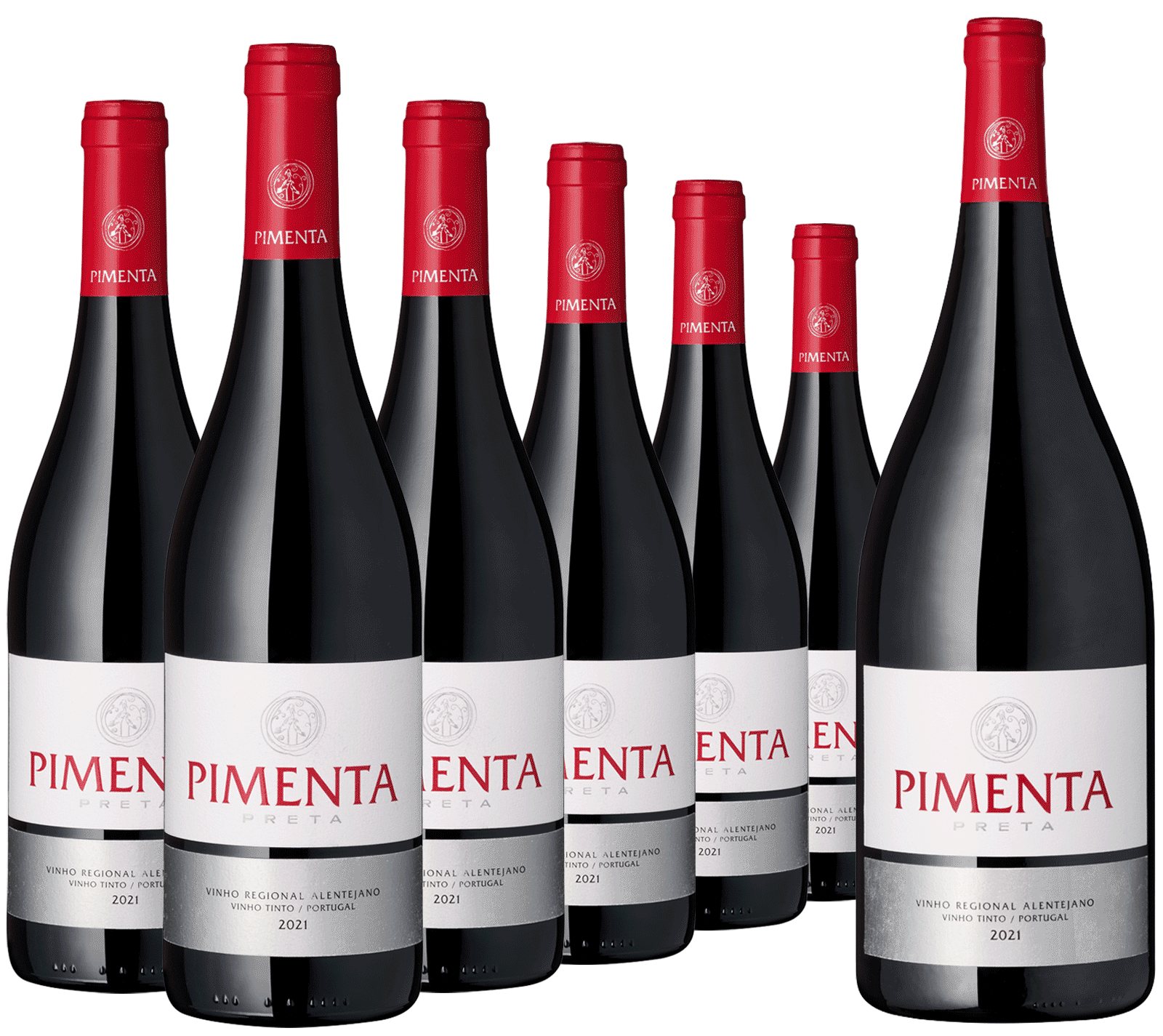 6 + 22er Magnum Paket Pimenta Preta