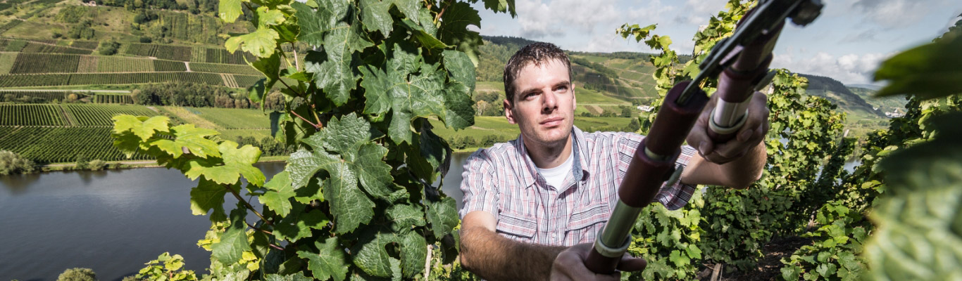 Weingut Lorenz Weingut Lorenz