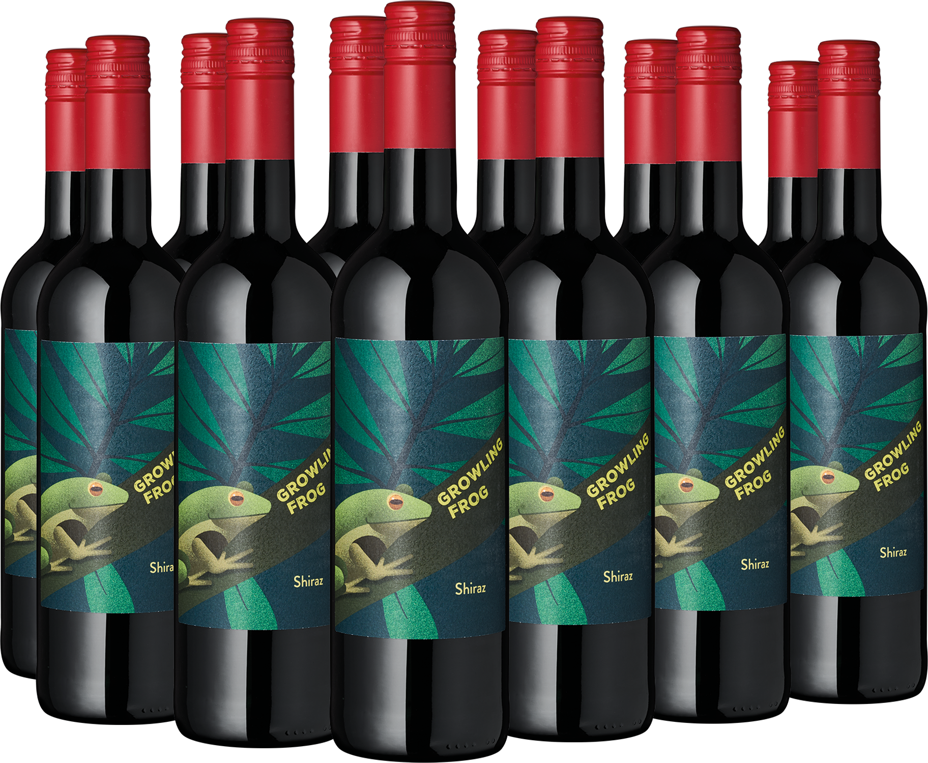 12er Paket "Growling Frog" Shiraz