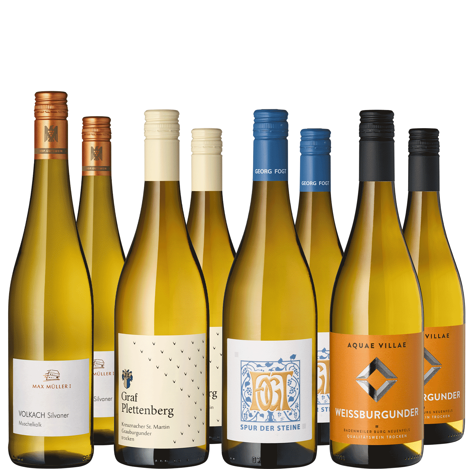8er Weinpaket "Spargelhelden"