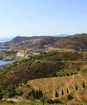 Kategorie Banyuls