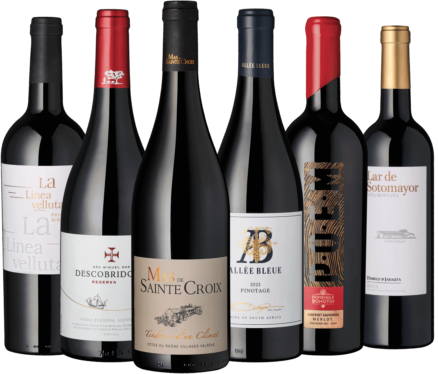 6er Rotwein Entdecker Dezember 2025