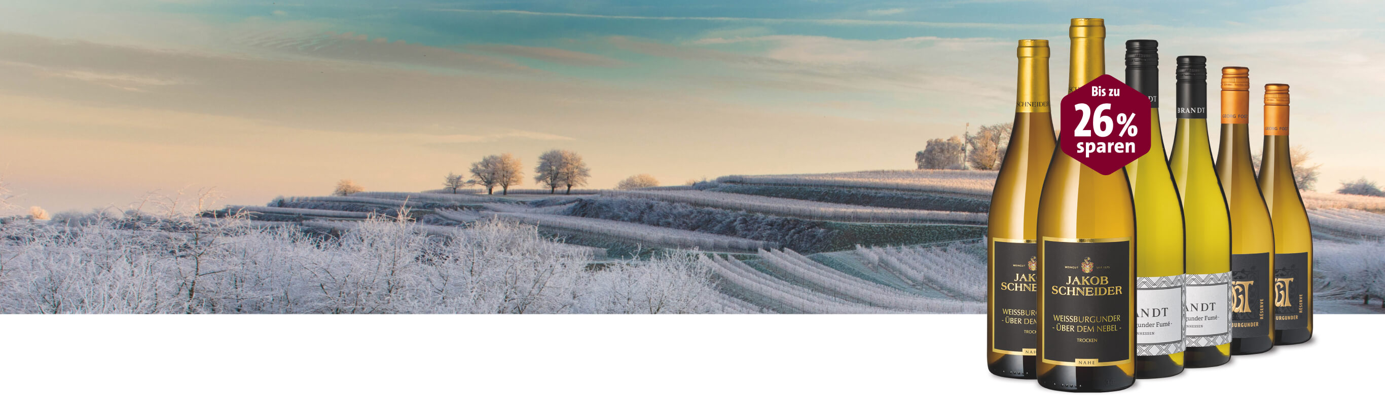 Schneeweißburgunder