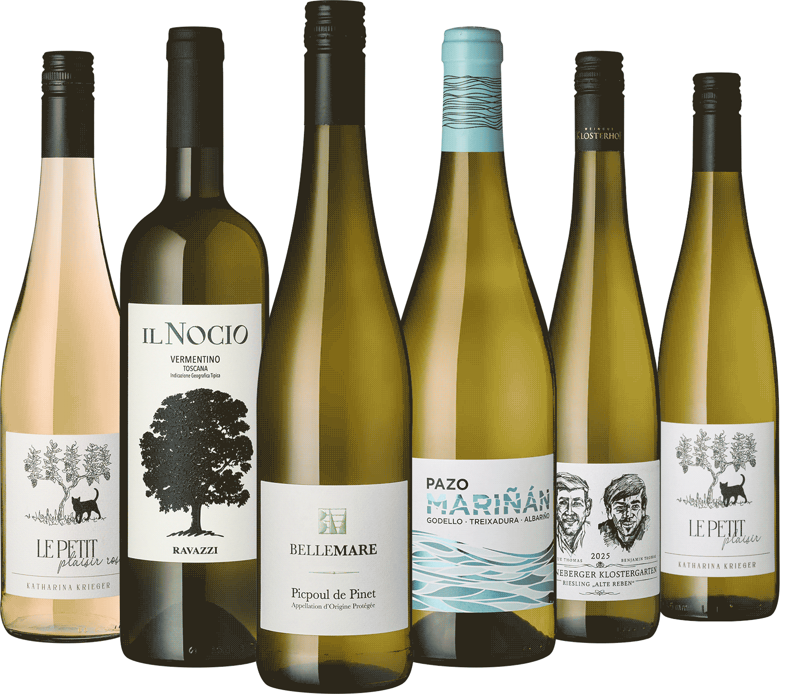 6er Weißwein Entdecker Juli 2025