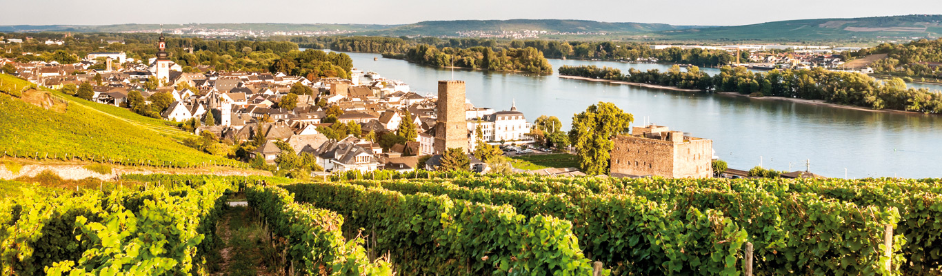 Iberische Halbinsel: Spanien und Portugal Weinseminar Iberische Halbinsel