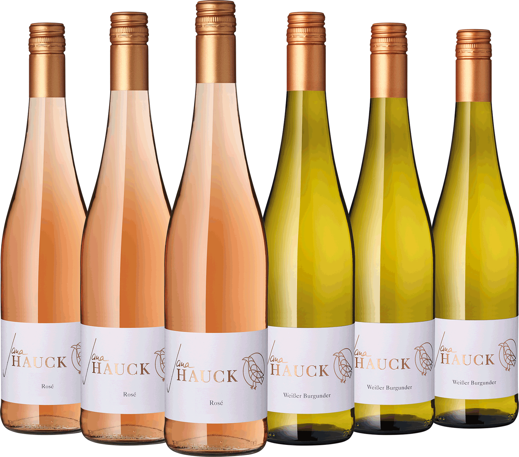 6er Paket Jana Hauck