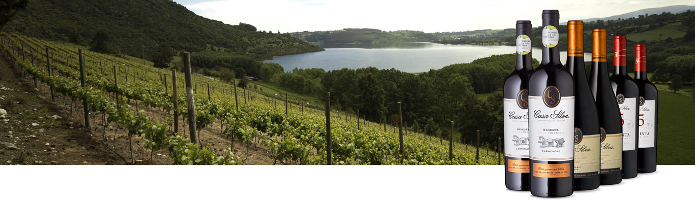 Der Romantiker von Colchagua Weinberge und Weinflaschen im malerischen Landschaftsbild