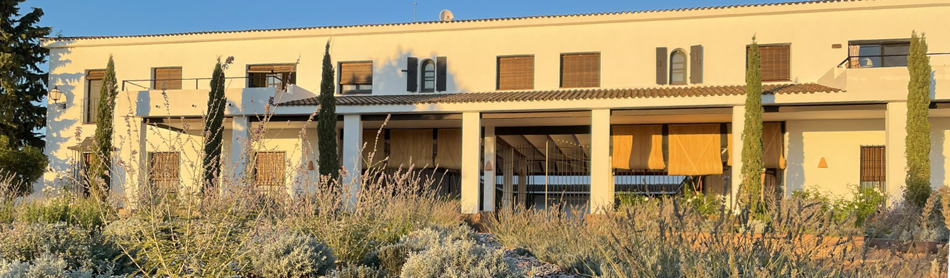Weingut Finca Élez