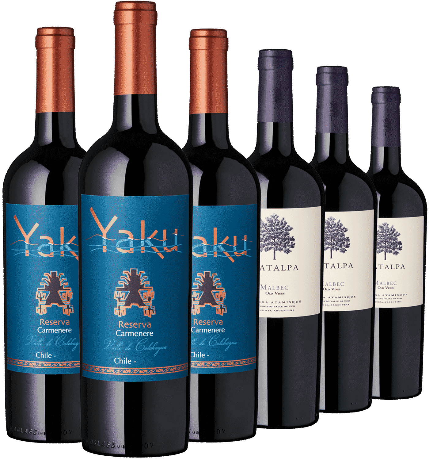 6er Das Andenduell Wein-Sortiment: Yak Carmenere und Atalpa Malbec Weine
