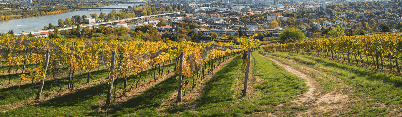 Kontor Fürstenried: Tu Felix Austria! - After Work Tasting Kategorie Niederösterreich