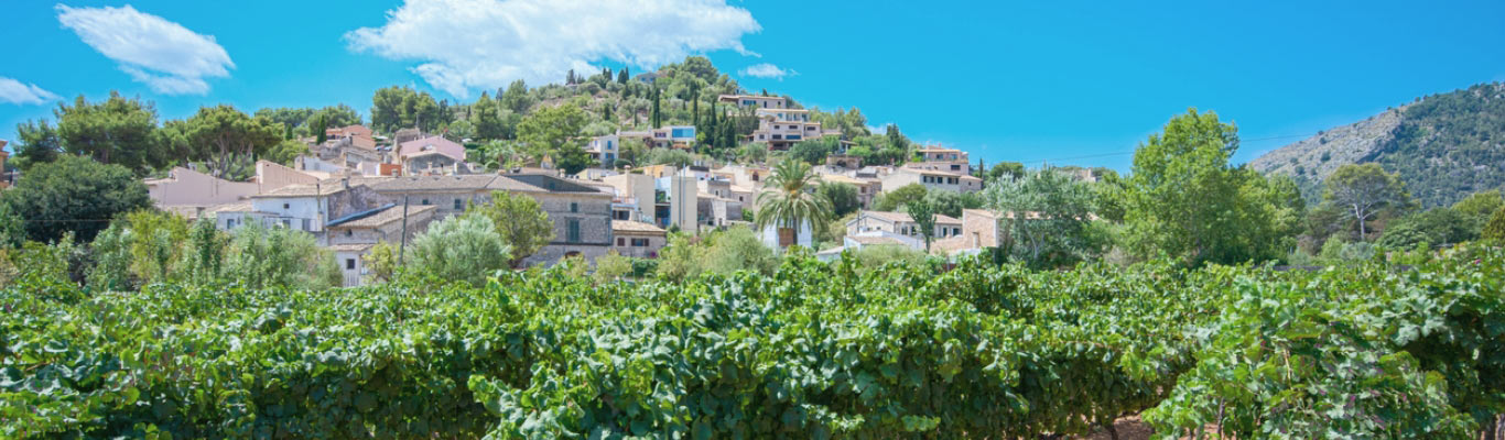 Kategorie Mallorca Kategorie Mallorca