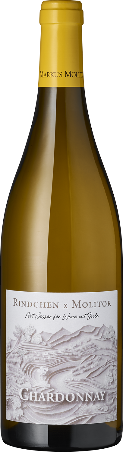 Chardonnay Rindchen x Molitor