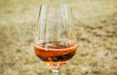 Wein Wissen Orange Wine