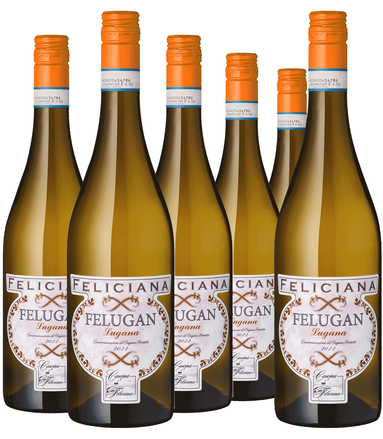 5+1 Paket "Felugan" Lugana
