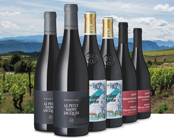 Wein-Set mit verschiedenen Rotweinen vor Berglandschaft
