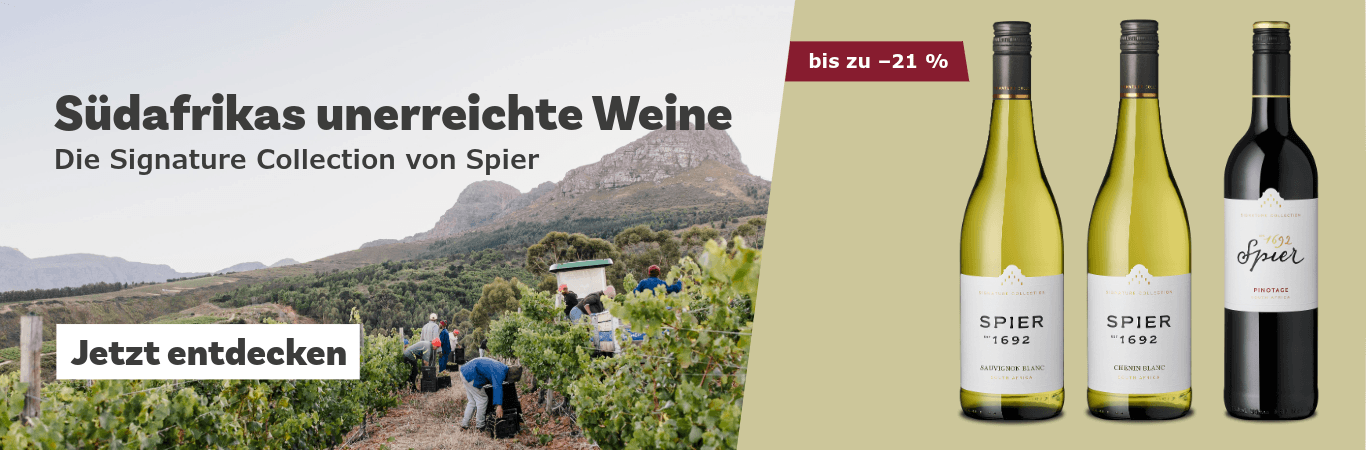 Teaser drei Spier Weine grüner Hintergrund und foto Reben und Berg in Südafrika