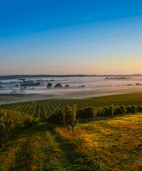 Kategorie Languedoc-Roussillon