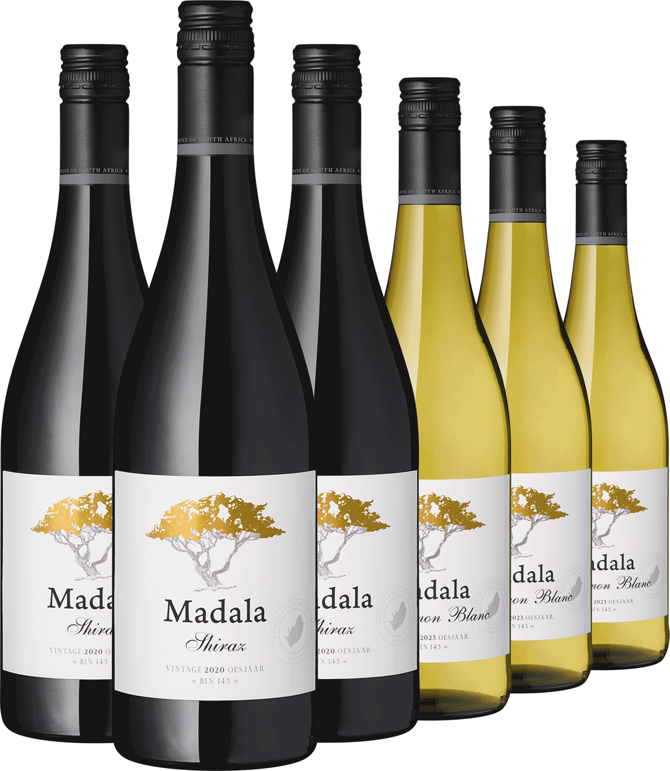 6er Paket "Madala" Südafrika