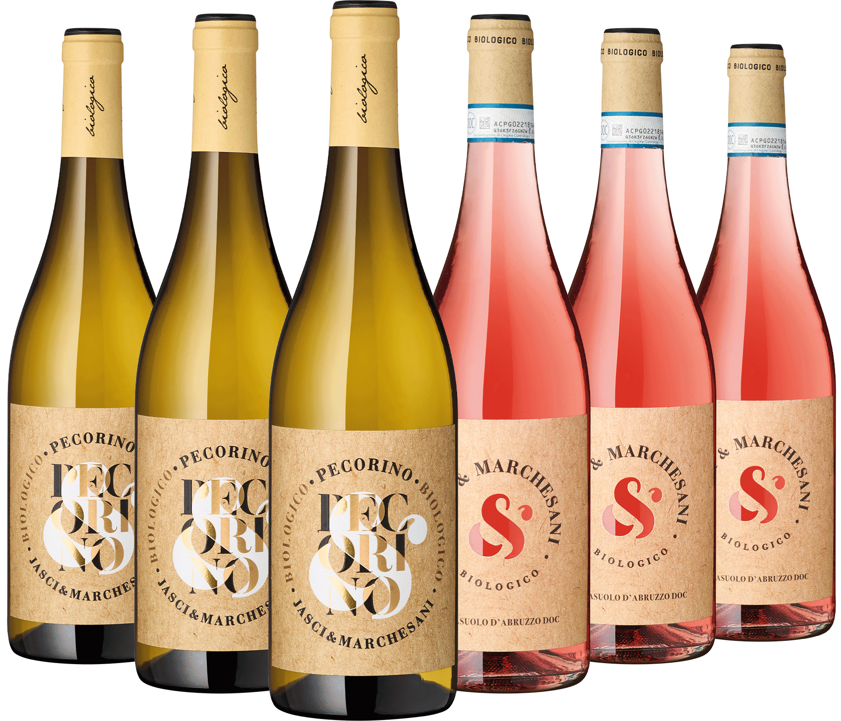 6er Paket Jasci & Marchesani