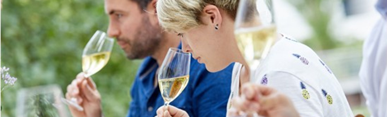 Weißweine der Welt - Europa vs. Übersee Weinseminar Übersee