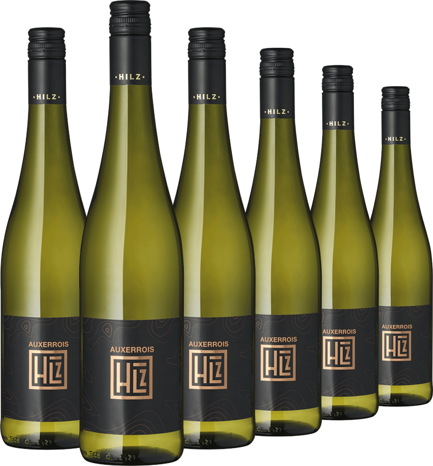 6er Auxerrois Hilz 6er Auxerrois Hilz