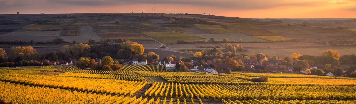 Kategorie Rheinhessen Kategorie Rheinhessen