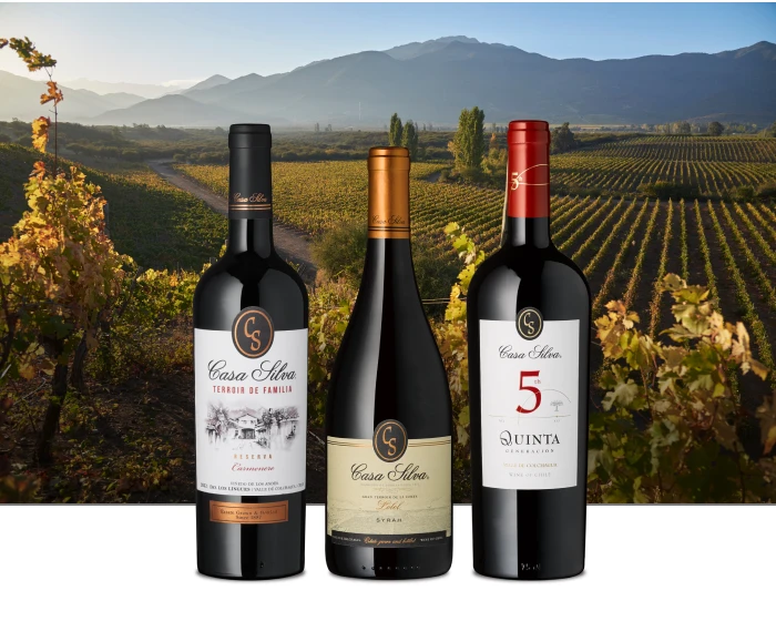 Wein News Chile April 2024