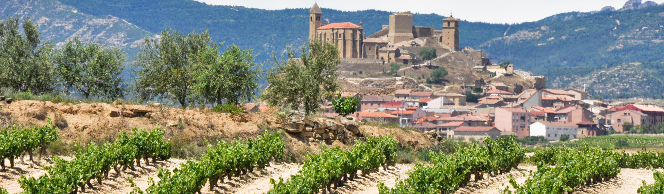 Weinland Spanien