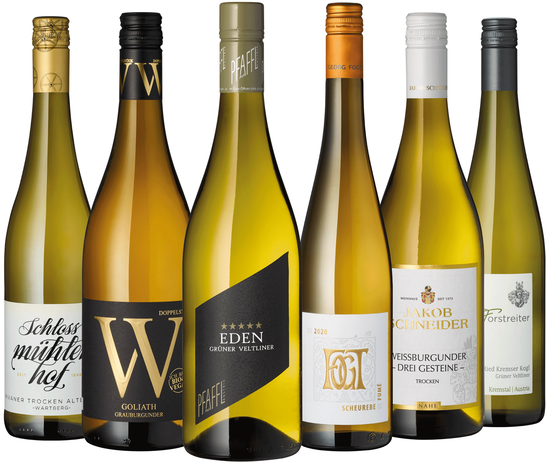 6er Weißwein Entdecker November 2025