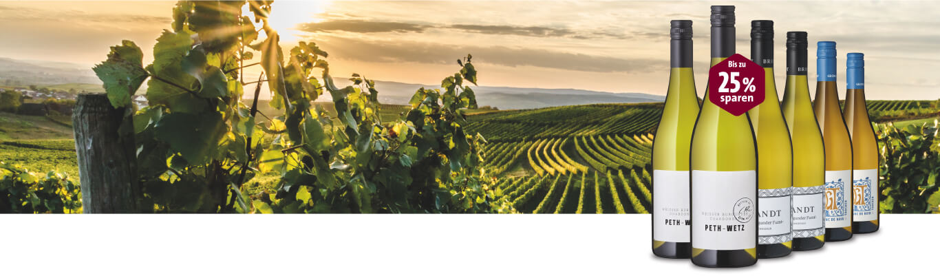 Das Burgunderland Wein Angebote im Weinberg mit Rabattaktion
