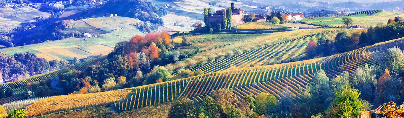 Kontor Fürstenried: Italienreise - Un miracolo italiano Wein Seminar Italienreise