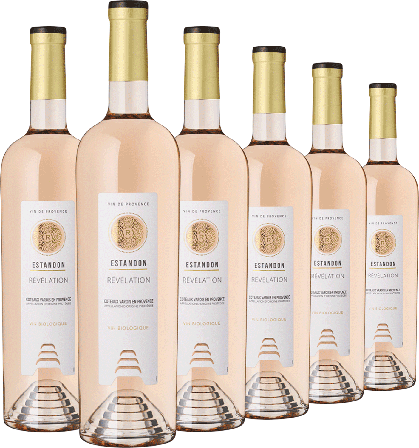 6er Estandon Revelation 6er Estandon Revelation