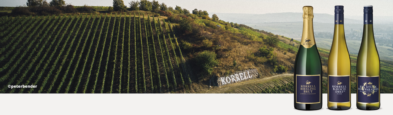 Herr Korrell findet das Paradies Weinflaschen mit Weinberg im Hintergrund von Korrell.